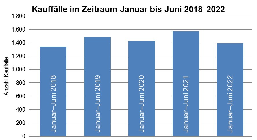 Grafik Kauffälle insgesamt 2018-22